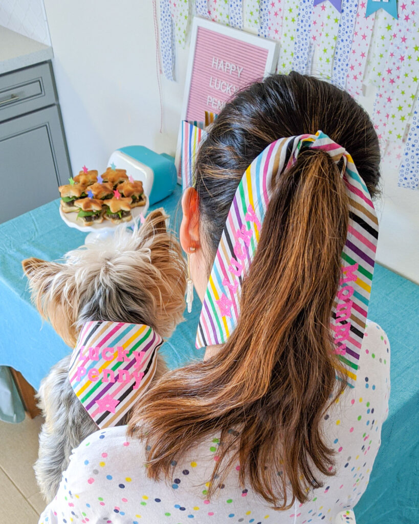 Craft blogger holding Yorkie dog. They're wearing a matching bandana and hair tie in colorful stripes