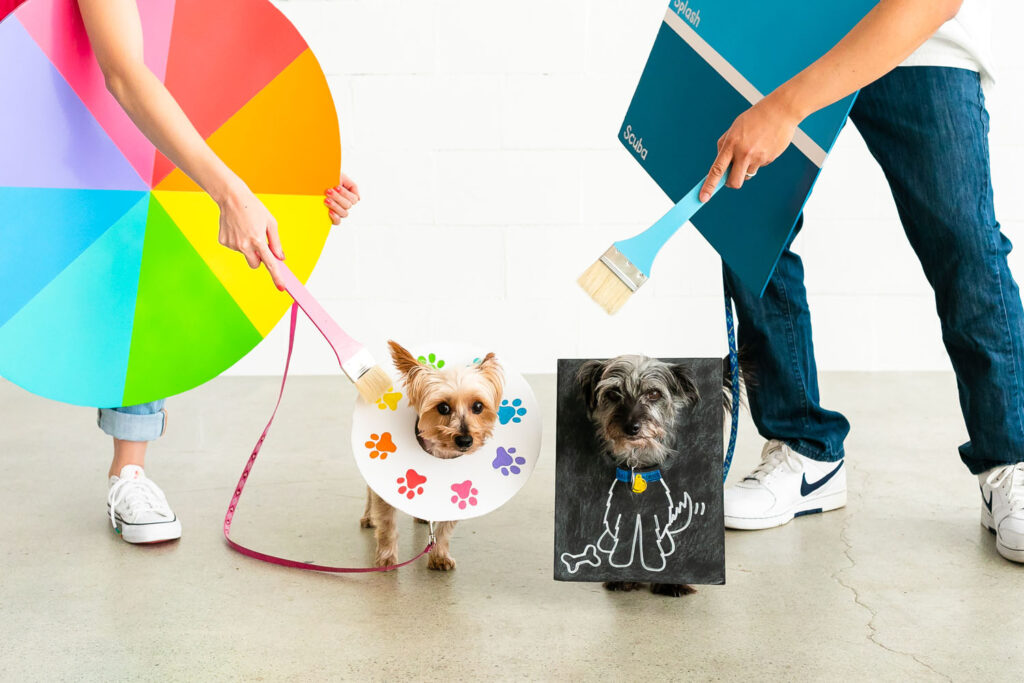 Dogs wearing paint chip and a doodle (drawing of dog) costume, part of colorful family costume.
