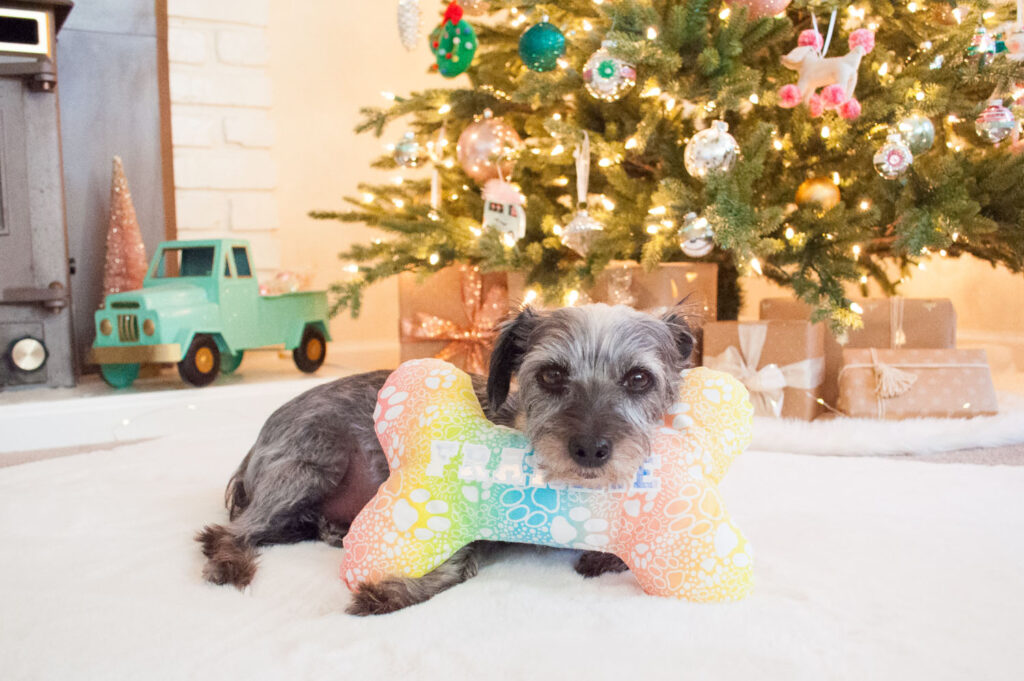 Black and gray small mixed breed dog sitting in front of a Christmas tree. He's resting his head on the dog bone pillow made by Blaire from Freshly Fuji,