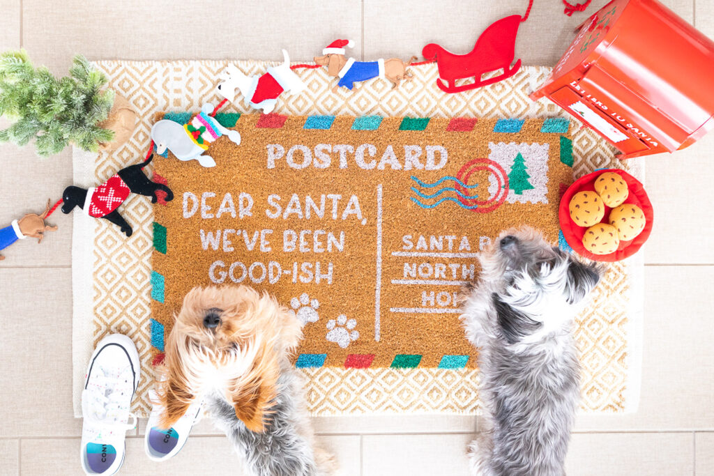 Frankie, a small gray dog and Penny a blond Yorkie are standing on the completed postcard doormat. There is a felt dog garland, a red mini mailbox, a plate of cookies dog toy, and a pair of white sneakers around the doormat.