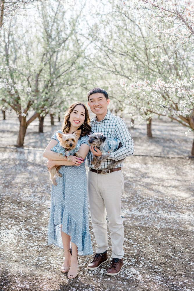 Blaire, her husband and two small dogs. They're all wearing light blue outfits. They are in an almond orchard with white blossoming trees behind them.