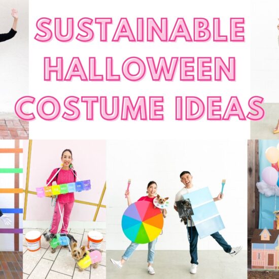 A cover photo titled "Sustainable Halloween Costume Ideas" featuring photos of different costumes made by Blaire of Freshly Fuji.