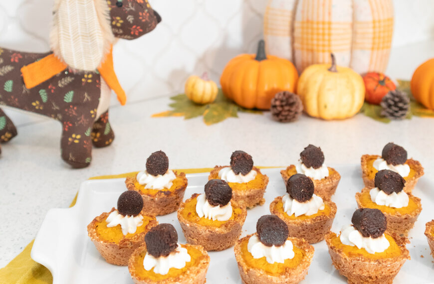 Mini pumpkin pie bites, topped with whipped cream and treats are displayed on a white tray. The tray sits on a mustard yellow napkin. Behind the tray is an assortment of artificial pumpkins and a brown plush dog with a floral pattern all over it.